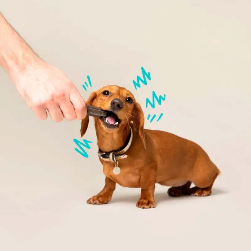 Doggy Dental Menta y Fresa